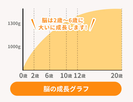 脳の成長グラフ 脳は0歳〜6歳まで特に成長します!